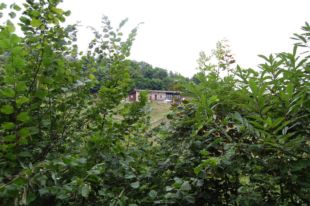 Sere Di Sosta Bagnolo Piemonte Dış mekan fotoğraf